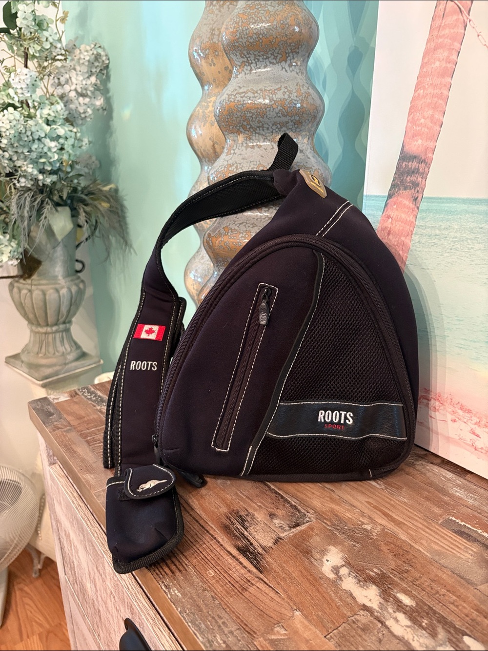 Roots triangle bag